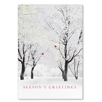 White Forest Holiday Card